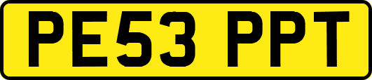 PE53PPT