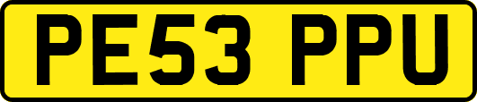 PE53PPU