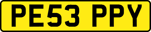 PE53PPY