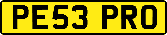 PE53PRO