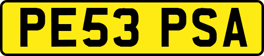 PE53PSA