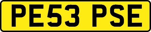 PE53PSE