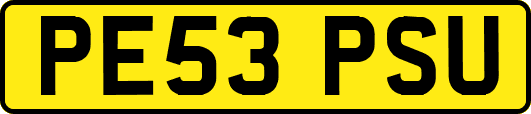 PE53PSU