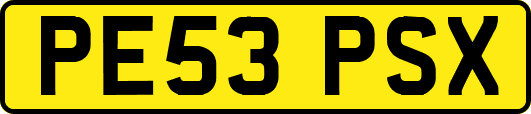 PE53PSX