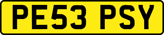 PE53PSY