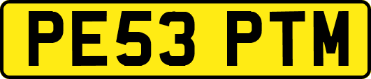 PE53PTM