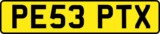 PE53PTX