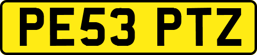 PE53PTZ