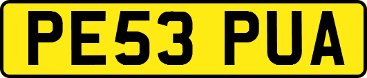 PE53PUA