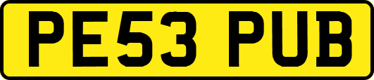 PE53PUB