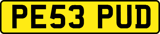 PE53PUD