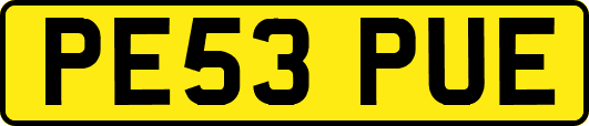 PE53PUE