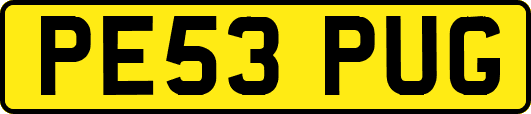 PE53PUG