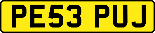 PE53PUJ
