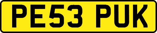 PE53PUK