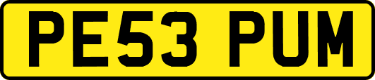 PE53PUM