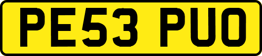 PE53PUO