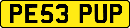PE53PUP
