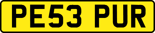 PE53PUR