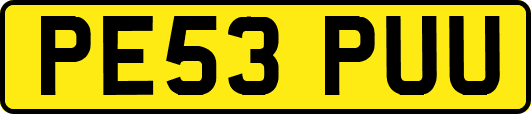 PE53PUU