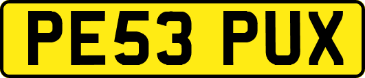 PE53PUX