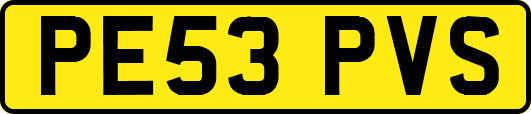 PE53PVS