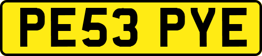 PE53PYE