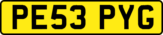 PE53PYG