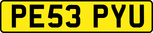 PE53PYU