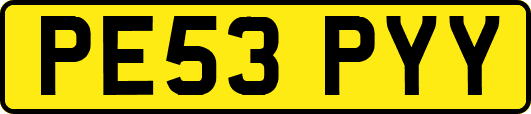 PE53PYY