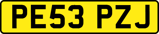 PE53PZJ
