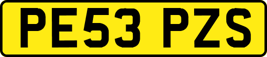 PE53PZS
