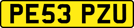 PE53PZU