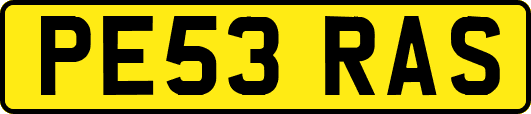 PE53RAS