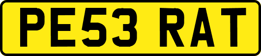 PE53RAT