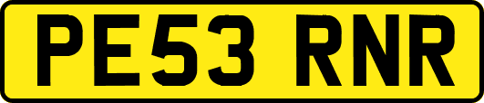 PE53RNR