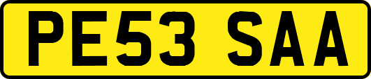 PE53SAA