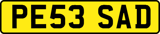 PE53SAD