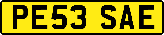 PE53SAE