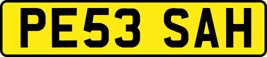 PE53SAH
