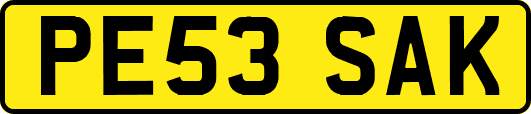 PE53SAK