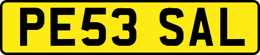 PE53SAL