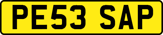 PE53SAP