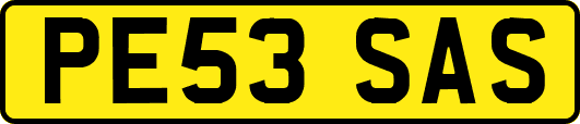 PE53SAS