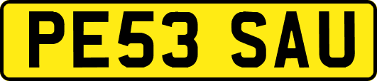PE53SAU