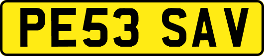 PE53SAV