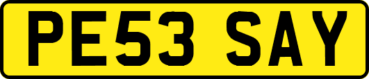 PE53SAY