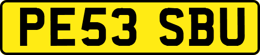 PE53SBU