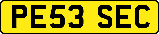 PE53SEC