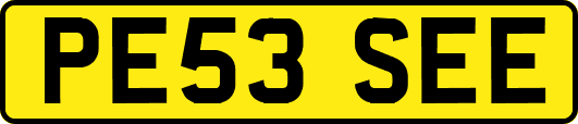 PE53SEE